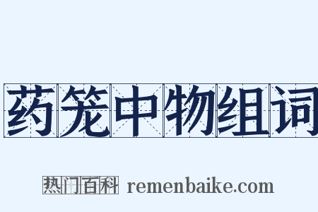 药笼中物组词是什么意思的图片
